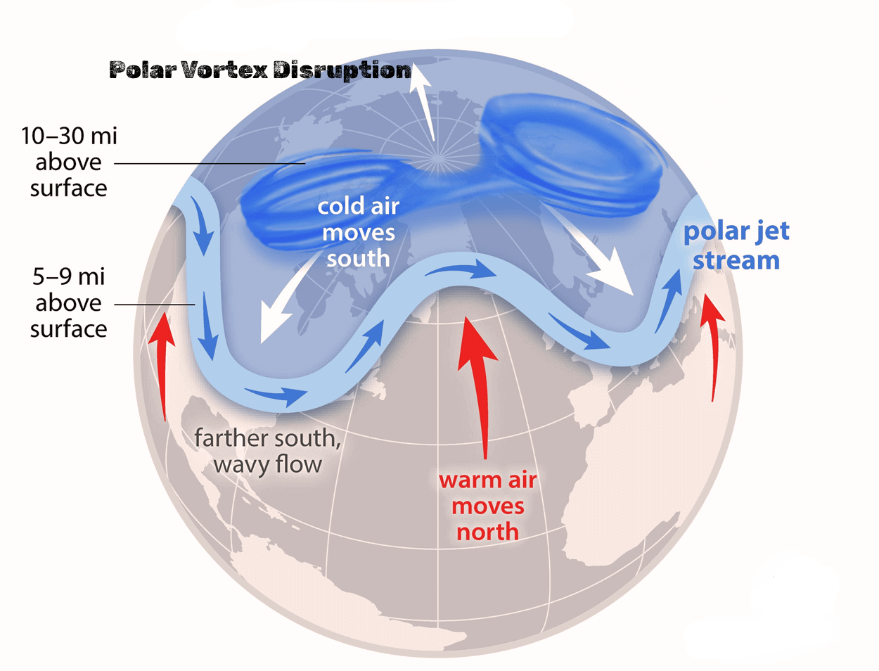 Major Polar Vortex Disruption Confirmed: Arctic Blast Forecast for U.S ...